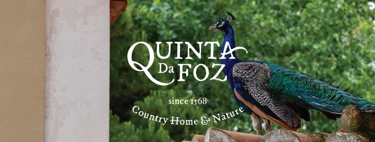 Вилла Quinta Da Foz Фош-ду-Арелью Экстерьер фото