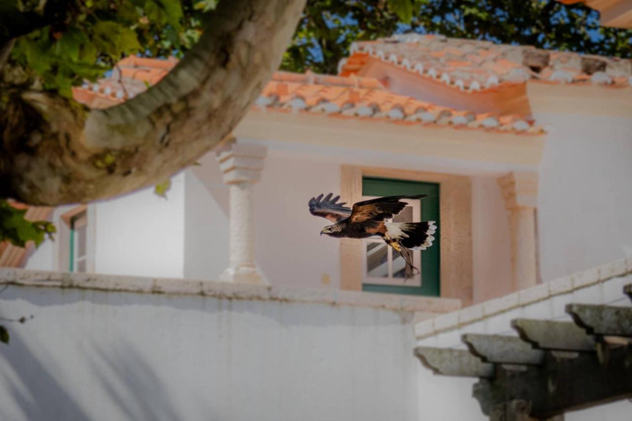Вилла Quinta Da Foz Фош-ду-Арелью Экстерьер фото
